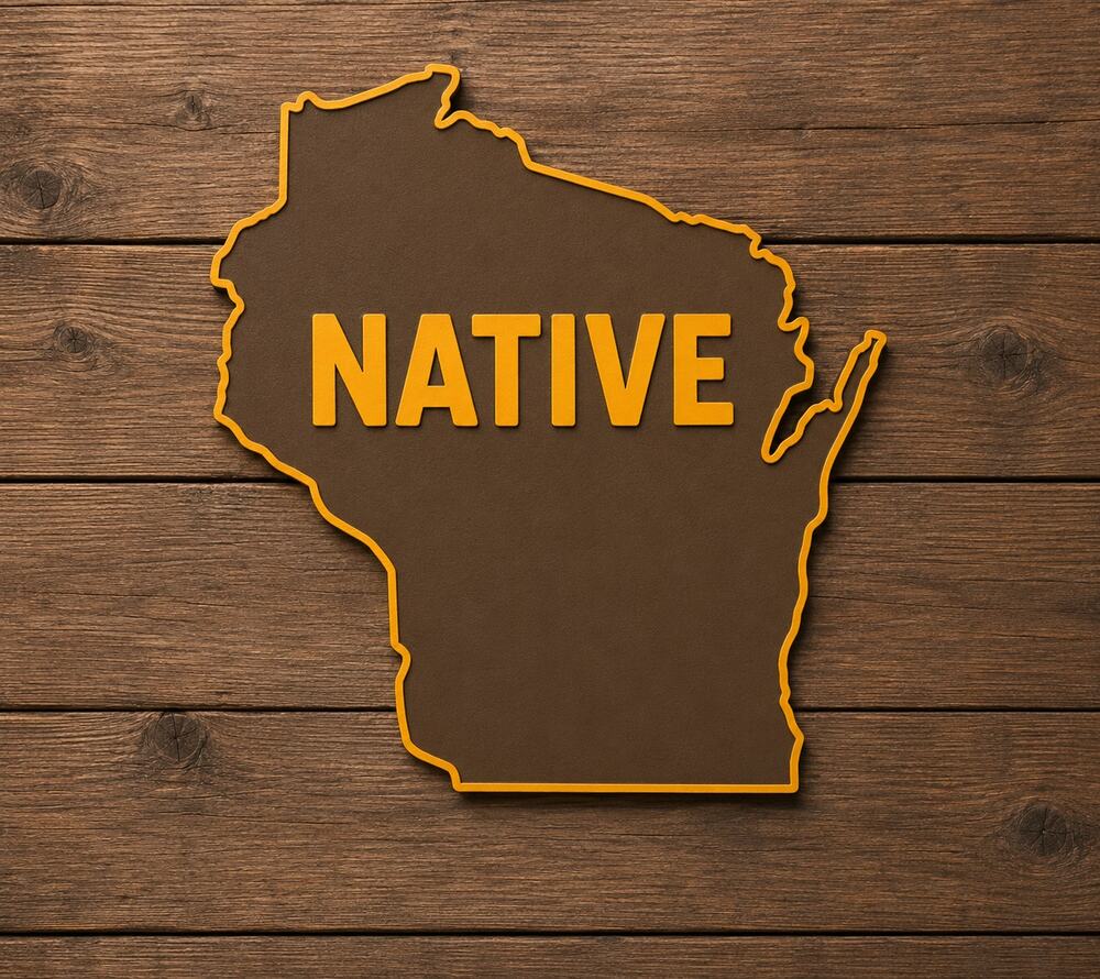 Wisconsin NATIVE State Sign Travel Midwest CUSTOMIZE Colors and State